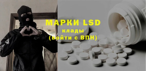 spice Аркадак