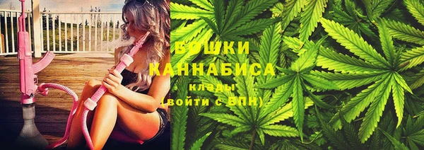 прущие грибы Армянск