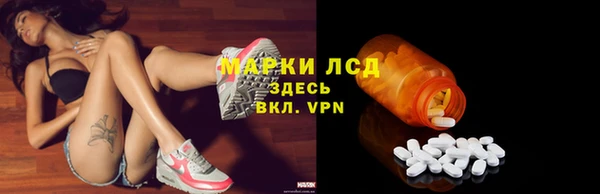 spice Аркадак