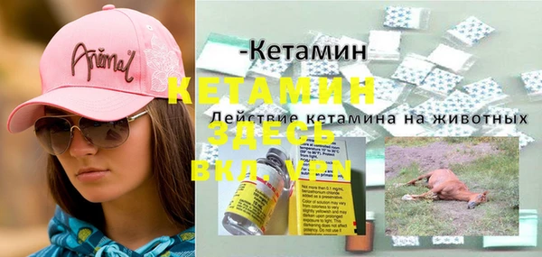 spice Аркадак