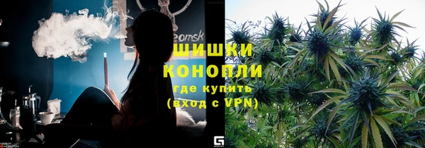 spice Аркадак