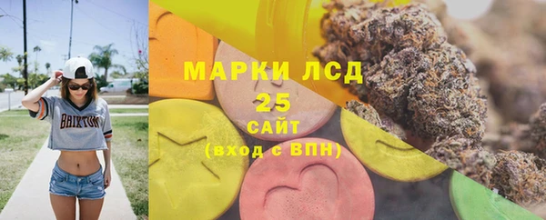 spice Аркадак