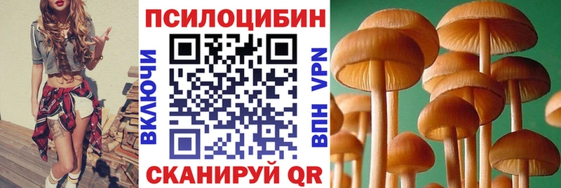 Псилоцибиновые грибы прущие грибы  где можно купить   Белово 
