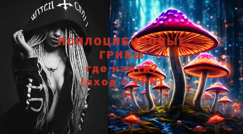 Псилоцибиновые грибы Magic Shrooms  Белово 