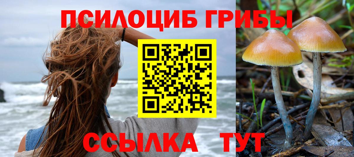 Галлюциногенные грибы Cubensis  Вход с VPN  Белово 