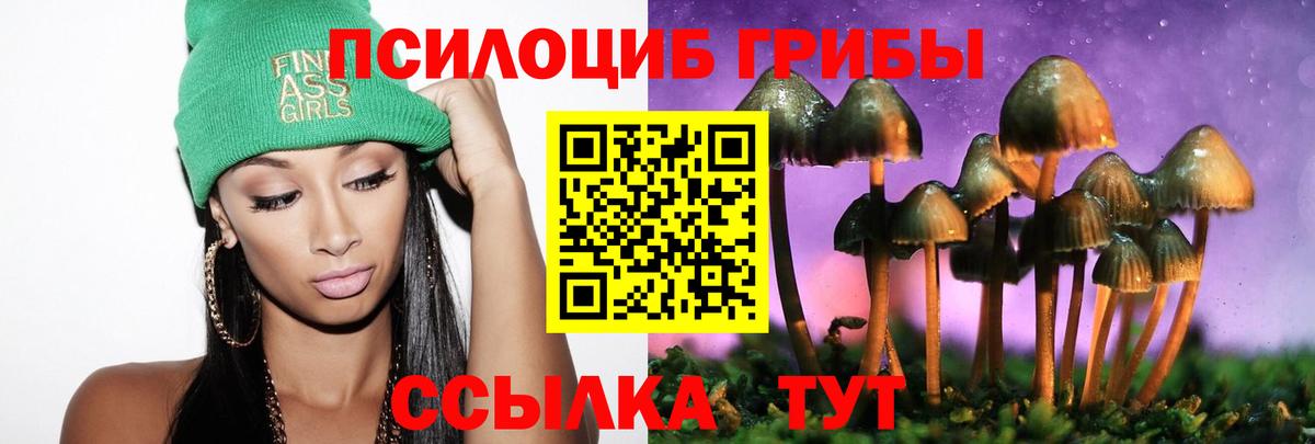 Псилоцибиновые грибы Cubensis  Белово  Галлюциногенные грибы Psilocybe 