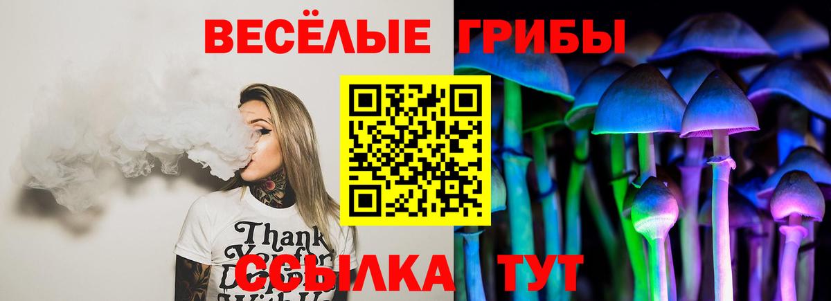 Псилоцибиновые грибы мицелий Белово